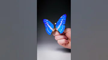 My Bluest Butterfly 