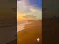 Ramadan Day 10 #رمضان #new #islamicvideo #status #shorts #peace #beautiful #blessings #viral #video