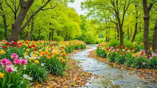 Music Therapy for the Nervous System 🌿 Beautiful Relaxing Music & Natural Sounds for Deep Sleep