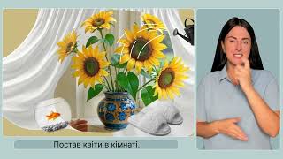 Відеоролик "Ти як?"