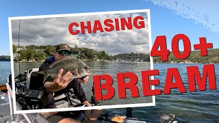 CHASING 40CM + BREAM on the Hobie Lynx