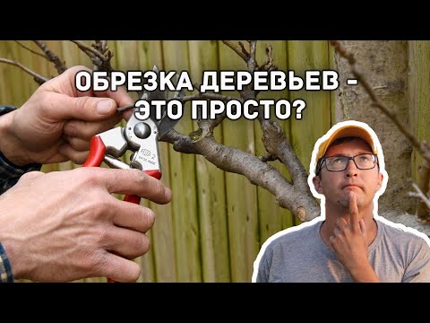 Обрезка деревьев весной. Принципы обрезки. Что срезать и почему?