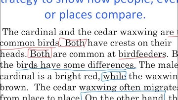 text structure video