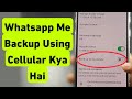 Whatsapp Me Backup Using Cellular Kya Hai | Backup Using Cellular Ka Matlab Kya Hota Hai