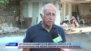 Βόλος Αυτοσχέδιο καταφύγιο για μικρούς γλάρους στις εγκαταστάσεις της ΛΕΔ Μαγνησίας 230626