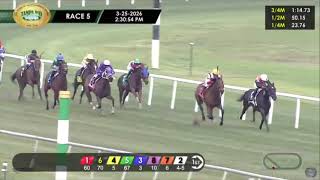 All Tampa Bay Downs Race Replays | March 25, 2026 Winners + Results