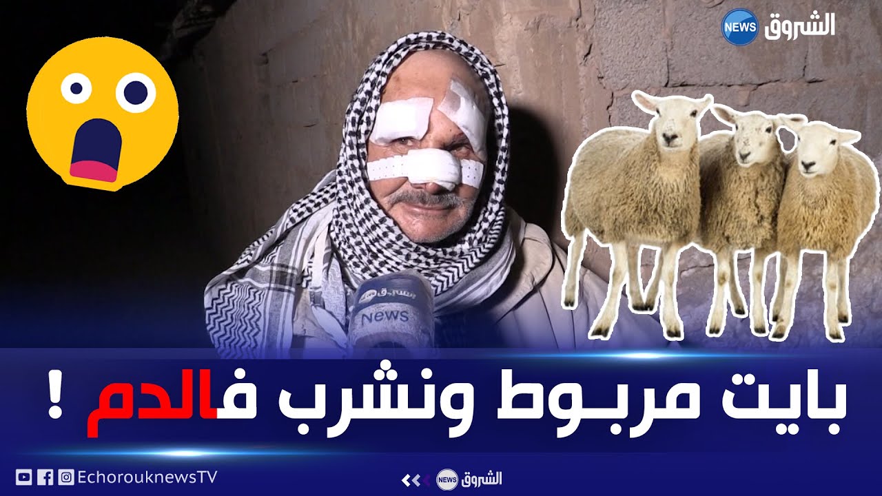 صادم جدا.. عصابة تعتـ.ـدي على موال وتكبله وتسرق 42 رأسا من الغنم بعين الدفلى 
