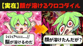 【実話】顔がとろける悪魔のおくすり「クロコダイル」...愛よりおくすりを選んだ男の末路とは..【ずんだもん/ゆっくり解説】