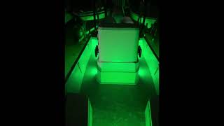PlashLights LED Performance Lighting