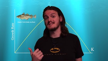 What is the Maximum Sustainable Yield?