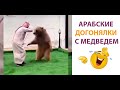 #50 АРАБСКИЕ ДОГОНЯЛКИ С МЕДВЕДЕМ **ЛУЧШИЕ ПРИКОЛЫ**. **СМЕХ ДО СЛЕЗ**