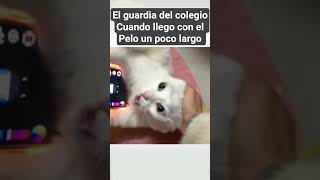 Cuando llegó con el pelo largo #meme #humor #gato #colegio