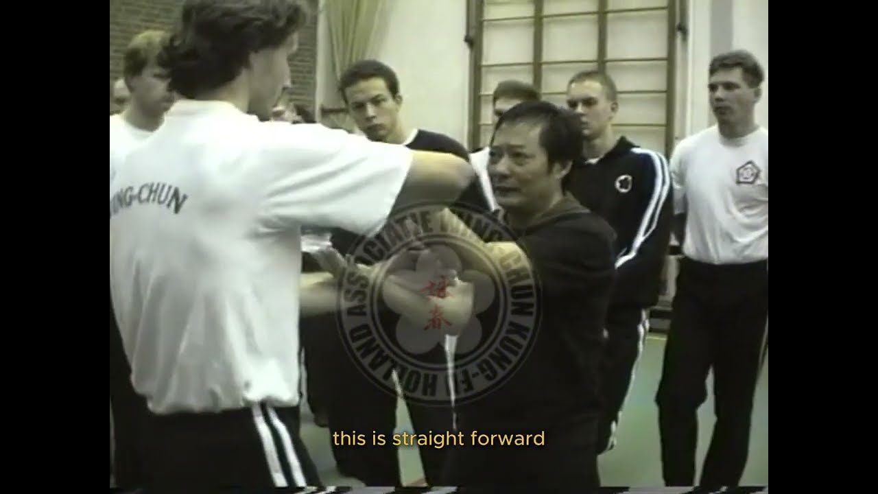 (Part 1) Wong Shun Leung Seminar in Holland 1994 
