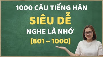 [801 - 1000] 1000 Câu tiếng Hàn giao tiếp thông dụng trong đời sống, nghe là nhớ!