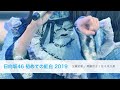 日向坂46 初めての紅白 2019［SOUND ONLY］