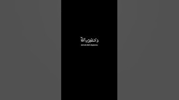 الشيخ يوسف العيدروس l سورة المزمل آية 20