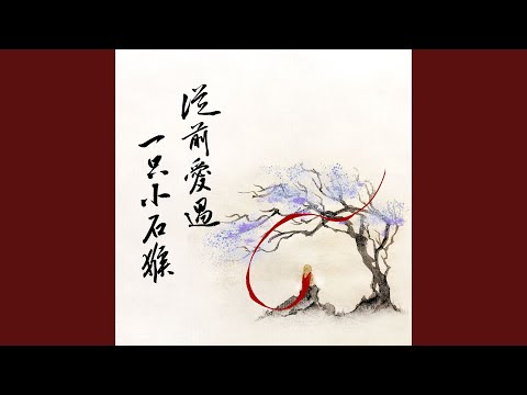 从前爱过一只小石猴