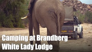 Brandberg Camp - 2023 - Namibia