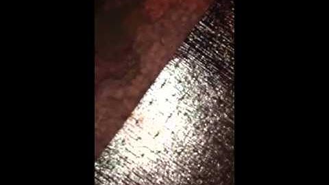 YellowBlue / Cory Lange Attic Video