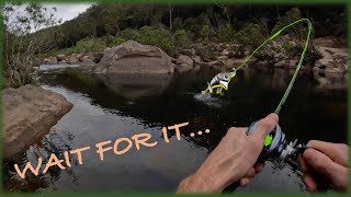 CRAZY surface bite! Australian Bass fishing