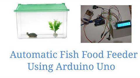 Automatic Fish Food Feeder Using Arduino Uno