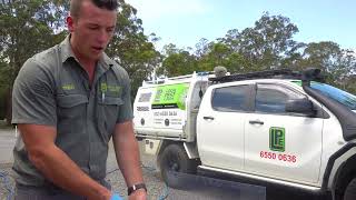What happens to pest treatment after heavy rain?