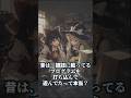 ゲームを手入力した時代【ゆっくり解説】