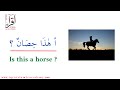 Lesson 4 question word a is answer yes no learn arabic the easy way iqra islamic academy