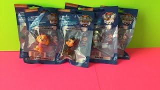 Video: Paw Patrol Mini Figure Series 1