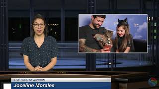 Pasadena Media News: CatCon hits Pasadena