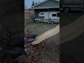 Slide into Leaf Pile