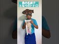 魚の名前でとなりのトトロ