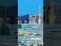 Madina#sharif #new #viralvideo #trending @muftysalmanazhari