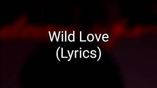 James Bay - Wild Love (Lyrics)