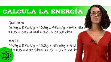 Come si chiama un alimento che da energia?