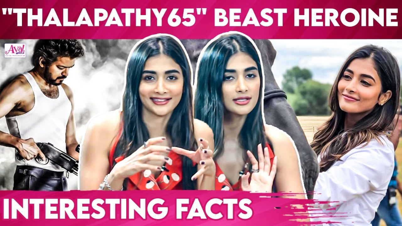 Shocking Thalapathy 65 Beast Heroine Education | Actress Education | Pooja Hegde | Rakul Preet | Sam