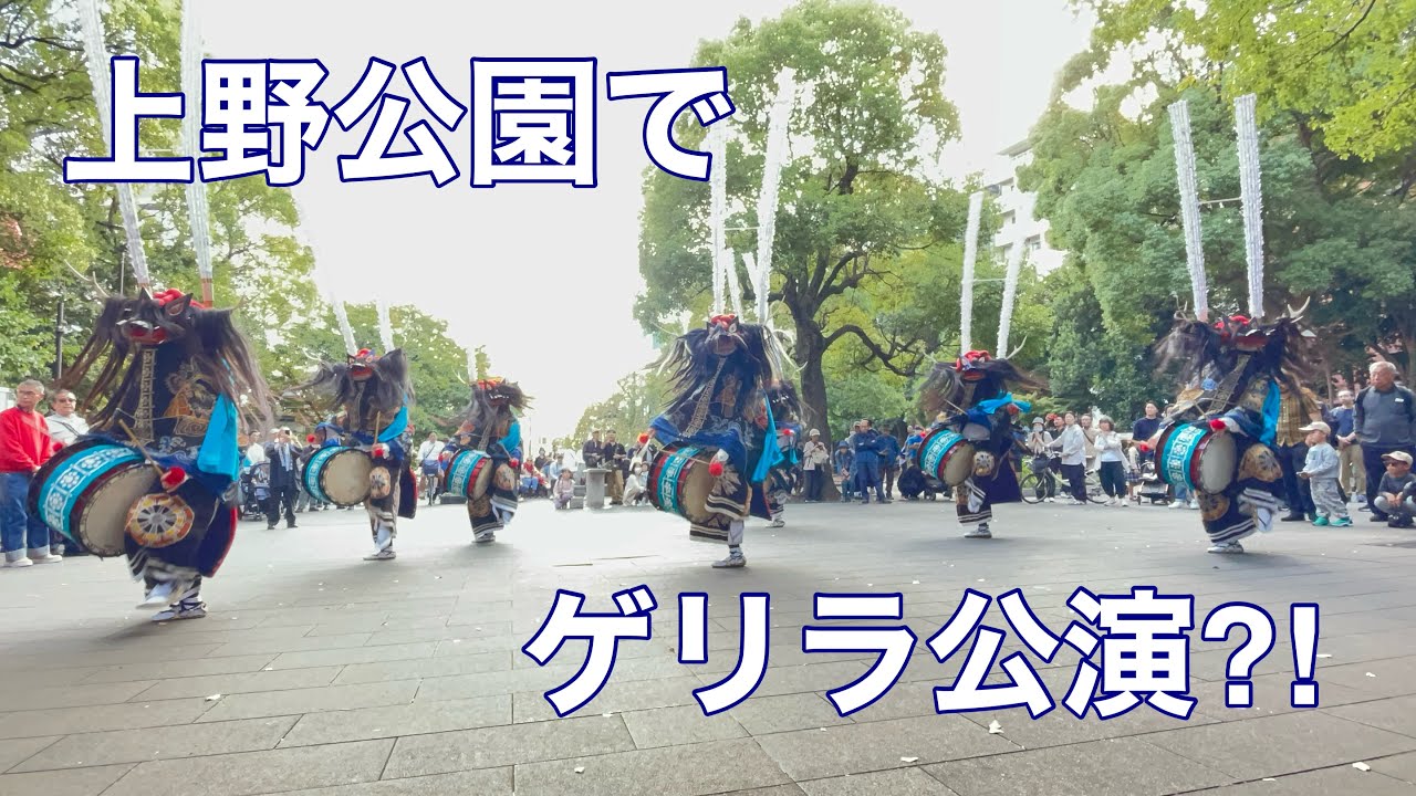 【春日流八幡鹿踊】2024/11/4上野公園でゲリラ公演「一番庭」#ゲリラ#フラッシュモブ