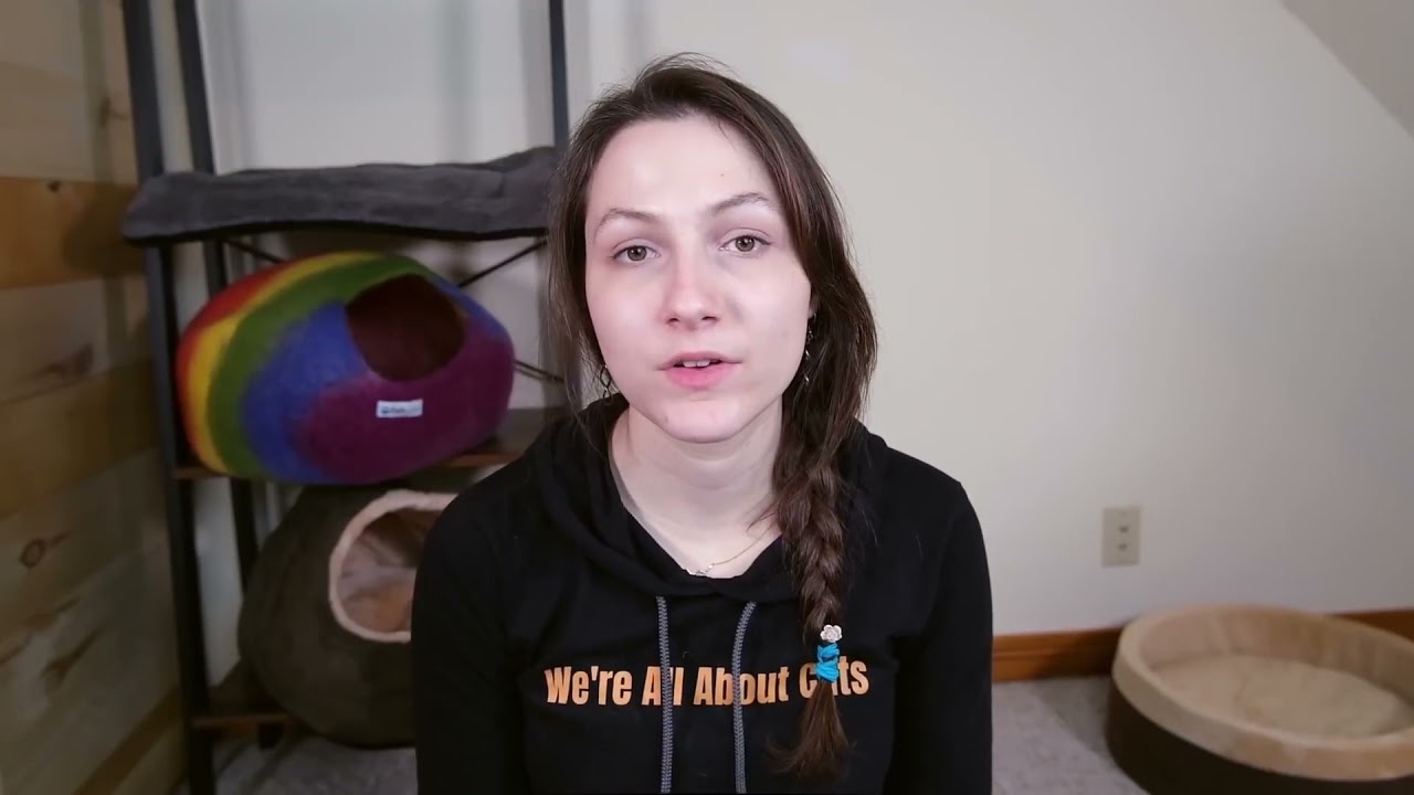 Armarkat Cave Shape Covered Bed Review (We Tried It)