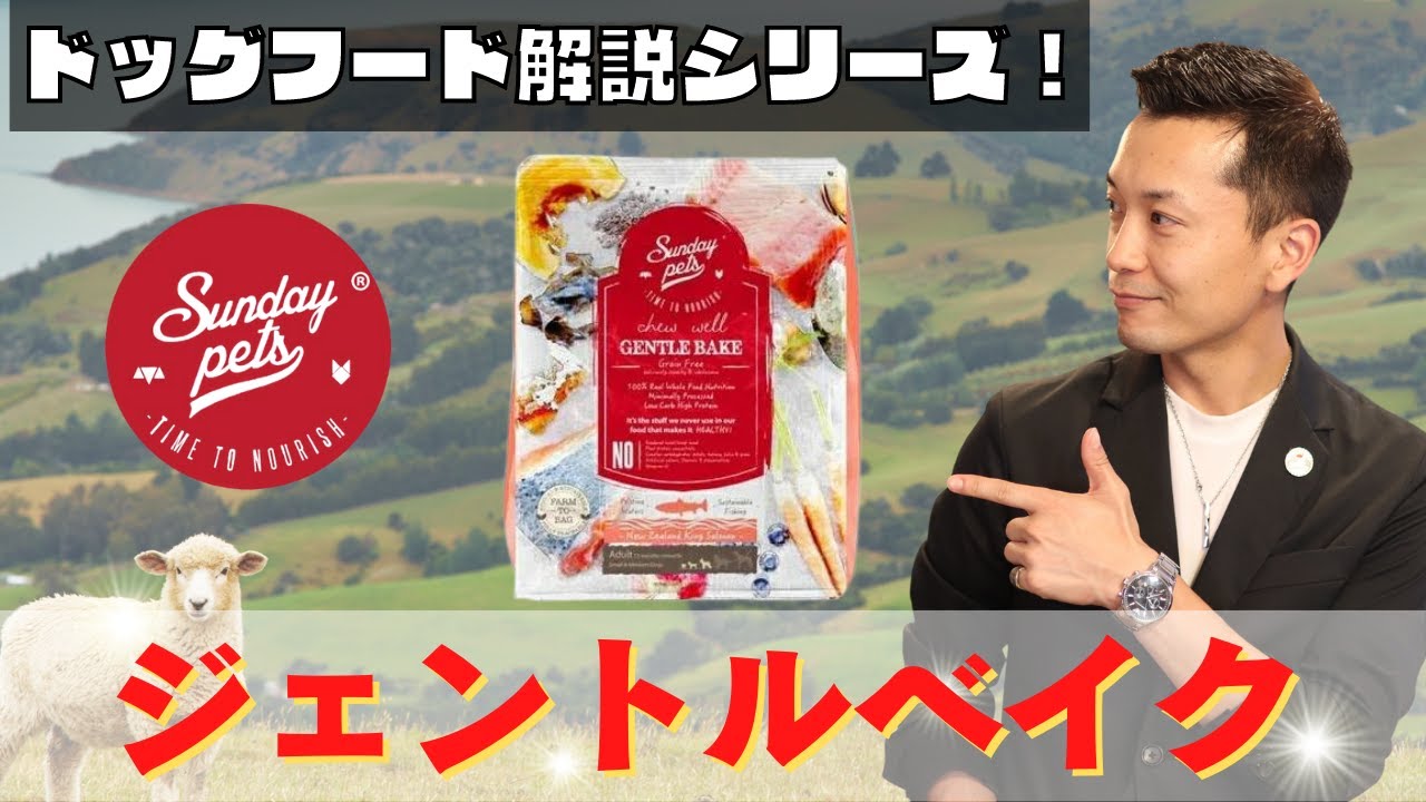 【ドッグフード解説 7】食感も素材も全てが犬に優しいご飯、ジェントルベイクを解説します