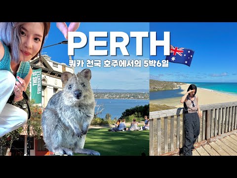 🇭🇲<strong>호주</strong> 여행 vlogㅣ시드니 여행도 좋은데, 쿼카 천국인 퍼스 여행도 너무 좋아…🌟느좋카페, 맛집추천, 공원 뷰 <strong>맛집</strong> 총정리! 퍼스, 프리맨틀, 로트네스트섬, 서호주여행