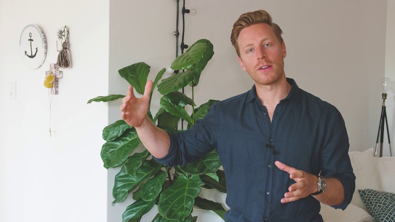 Tribefit Online Personal Trainers Workshop - How to start 'HYBRID' online personal training