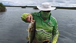 Rust De Winter angling for bass.
