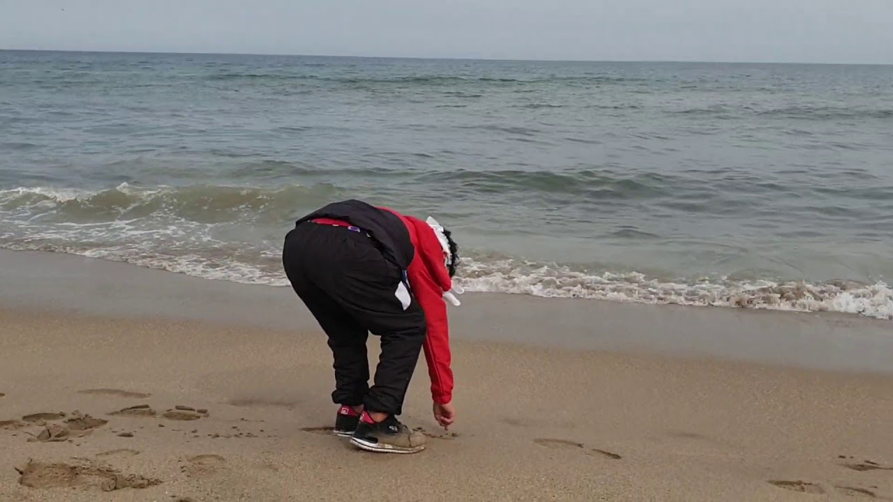 M.A.Zarigo-elmoja|الموجة (clip.officiel)