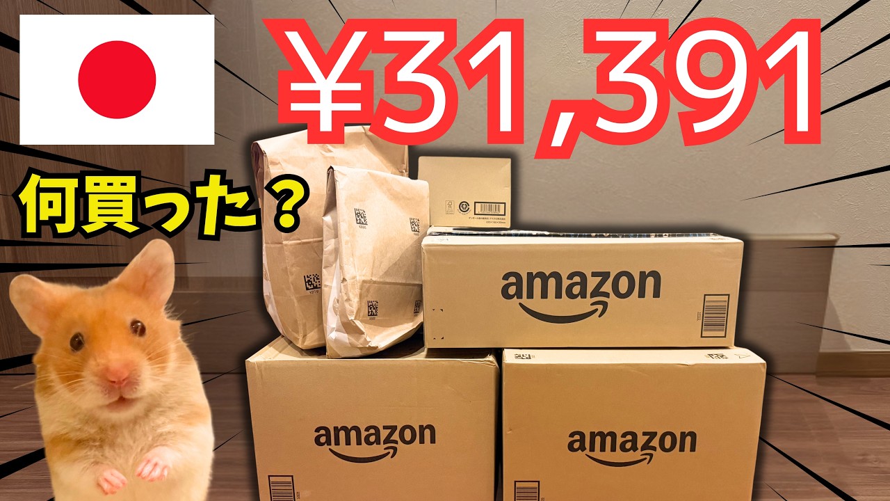 【今だけのセール中♡♡】ハムスターがすぐ飼える飼育セット♡♡ Amazon Japan Hamster Haul | Everything We Bought! - YouTube