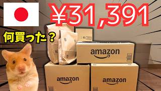 Amazon Japan Hamster Haul | Everything We Bought! - YouTube