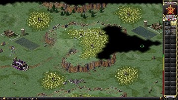 1v1 RA2 vs "Wudi" on TOE SvS