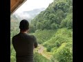 Туреччина, Різе