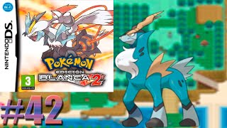 Cobalion/Pokemon Blanco 2 #42