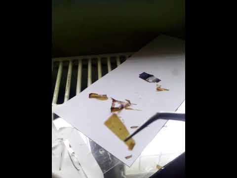 Graphene oxide paper, membrane