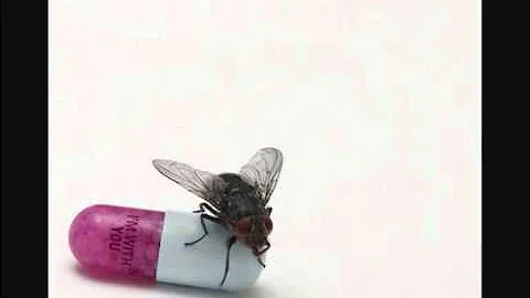 Red Hot Chili Peppers - Did I Let You Know